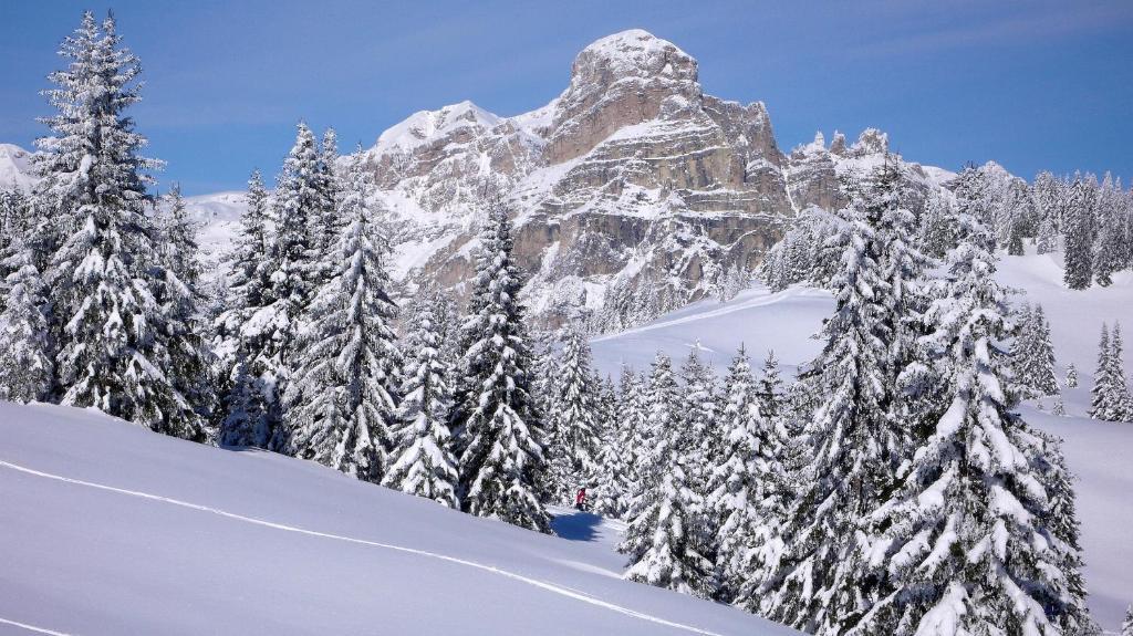 Hotel Ciasa Ai Pini San Cassiano  Bagian luar foto